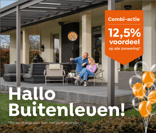 webbanner-540x460-verasol-c03-2026